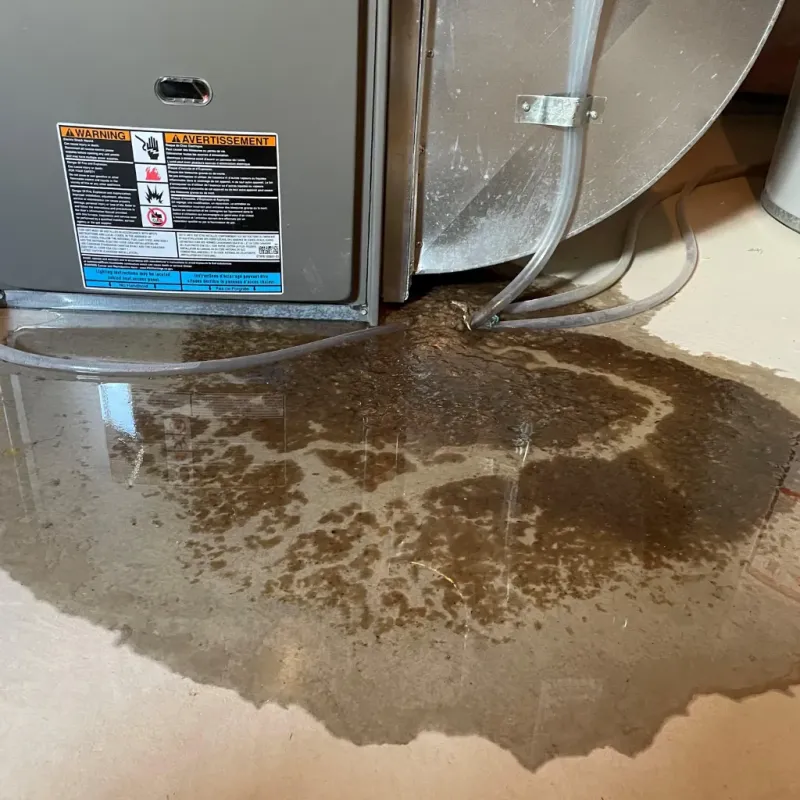 Appliance Leak Cleanup in Colby, WI